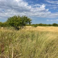 Price Reduction 78 - Ac West TBD CR 364 Anson images 4