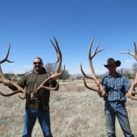 Durfee Canyon Unit 17 Trophy Elk and Cattle Ranch images 3