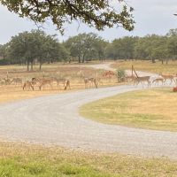 New Listing 86.6 - Acres Home Brown County