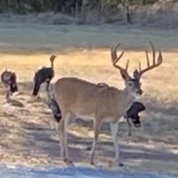 New Listing 86.6 - Acres Home Brown County images 2