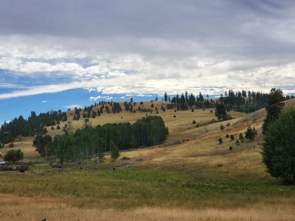Happy Hill Angus Ranch featured image