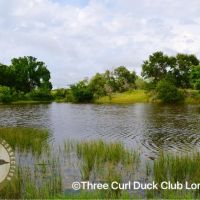 Three Curl Duck Club - Lorena