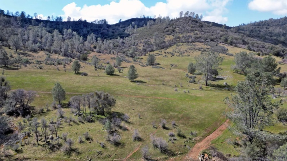 Blacks Creek Ranch featured image