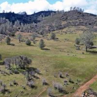Blacks Creek Ranch