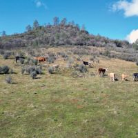 Blacks Creek Ranch images 4