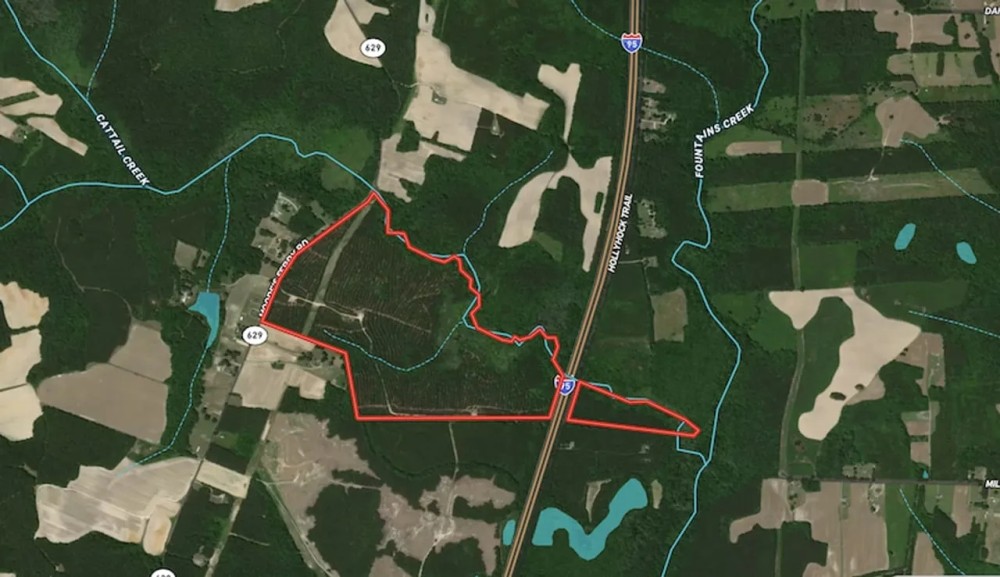 MARKET BASED PRICE IMPROVEMENT 158 Acres of Timberland For Sale in Greensville County Virginia featured image