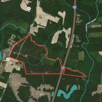 MARKET BASED PRICE IMPROVEMENT 158 Acres of Timberland For Sale in Greensville County Virginia