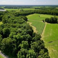26 acres of Farm and Timber Land For Sale in Greene County NC images 3
