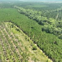 100 - Ac Timberland with Home in Charlton Co GA images 3