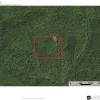 The Curly Hole at Peterball Springs images 2