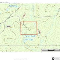 The Curly Hole at Peterball Springs images 3