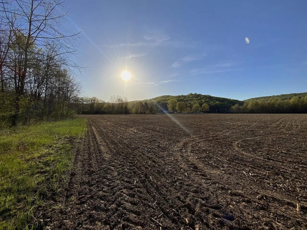 Pine Top Rd - 21 acres - Pike County featured image