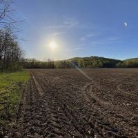 Pine Top Rd - 21 acres - Pike County