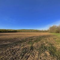 Pine Top Rd - 21 acres - Pike County images 2