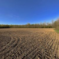 Pine Top Rd - 21 acres - Pike County images 3