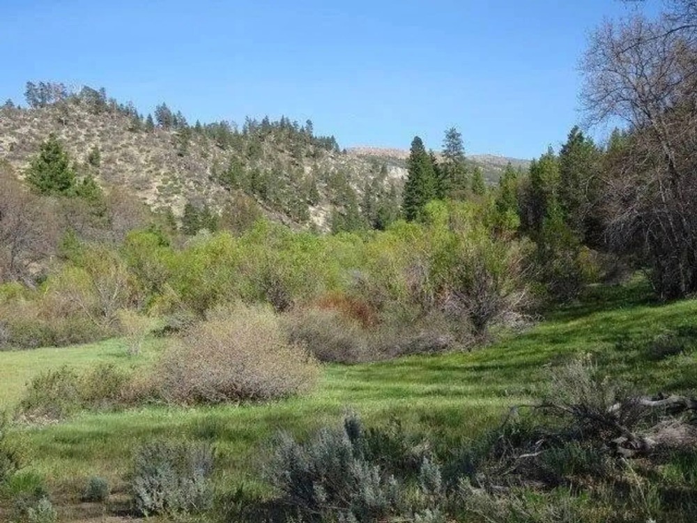 40 Acre Milford Grade featured image