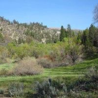 40 Acre Milford Grade