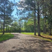 52 Acres in Webster County at 2515 Old Dancy Road in Mantee MS images 3