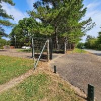 52 Acres in Webster County at 2515 Old Dancy Road in Mantee MS images 4