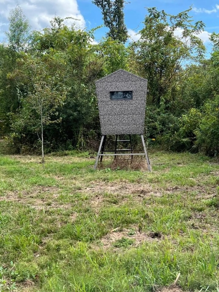 40 Acres For Sale in Catahoula Parish Louisiana featured image