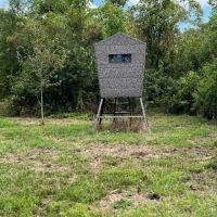 40 Acres For Sale in Catahoula Parish Louisiana