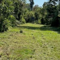 40 Acres For Sale in Catahoula Parish Louisiana images 3
