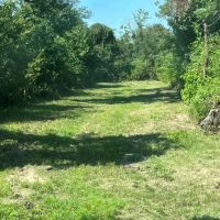 40 Acres For Sale in Catahoula Parish Louisiana images 4