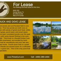 North East Texas Duck Leases HG 102