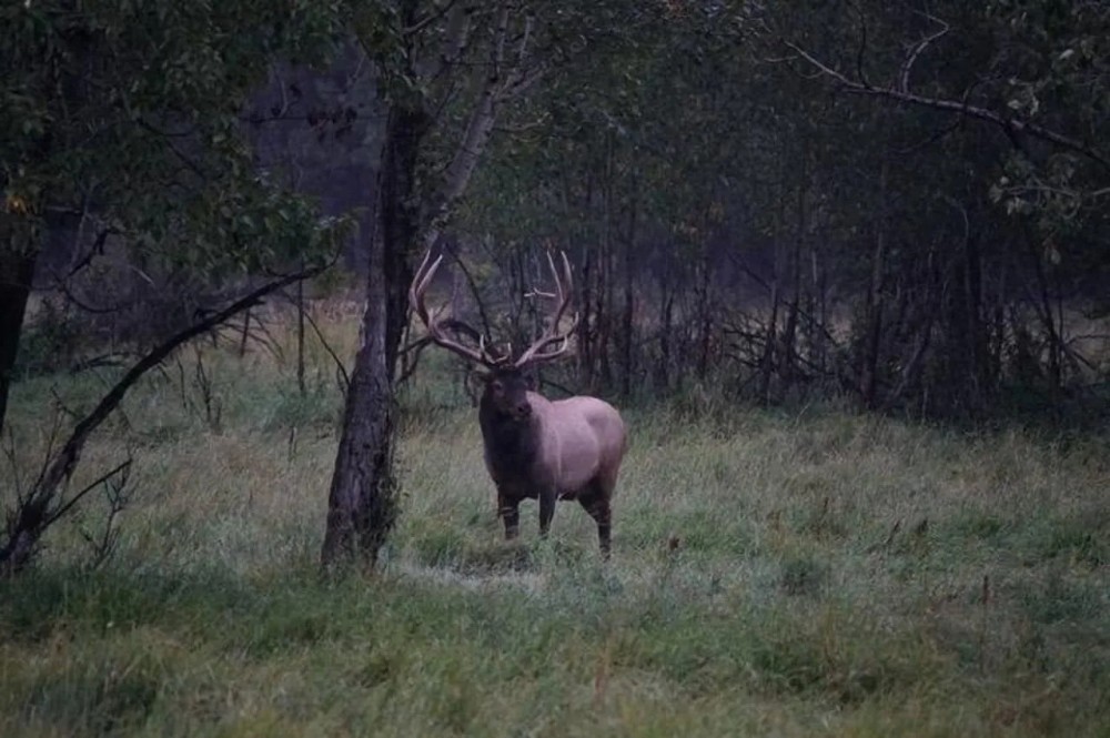 Camp 9 Hunting Ranch featured image
