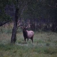 Camp 9 Hunting Ranch