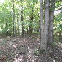 Fayette 37 images 2