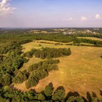 43 - Acres 1 2 Mature Woods 1 2 Pasture Pond Cave City Ar images 2