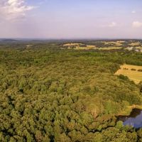43 - Acres 1 2 Mature Woods 1 2 Pasture Pond Cave City Ar images 4