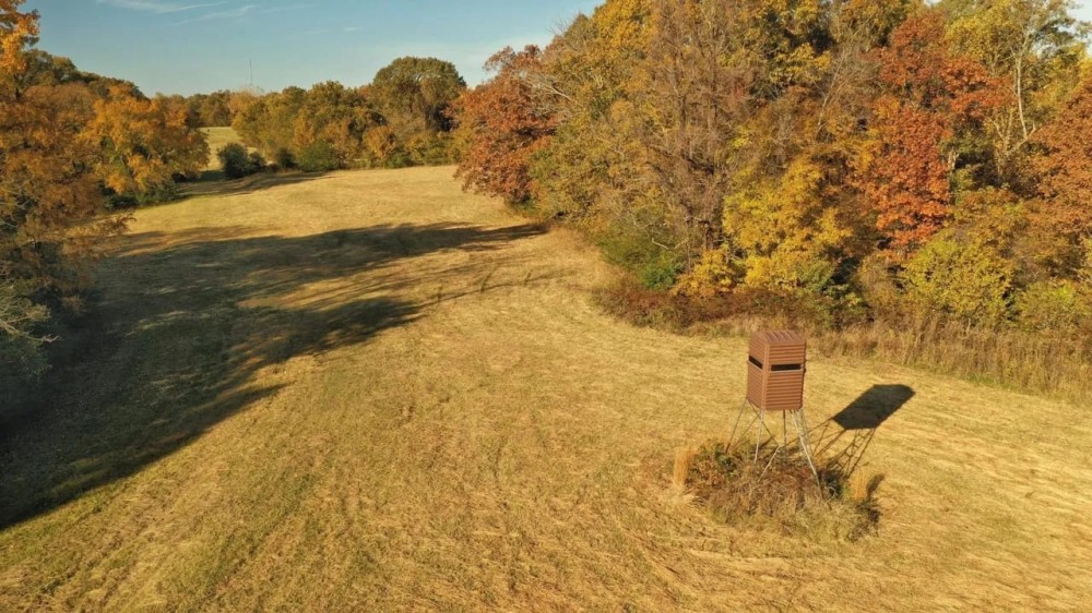 Martha s Ridge Tract 3 - 130 Acres Land for Sale Arkansas featured image