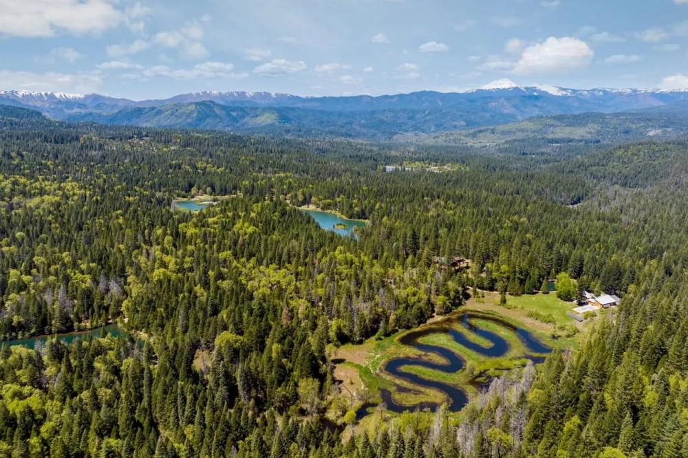 Hayes Springs Ranch featured image