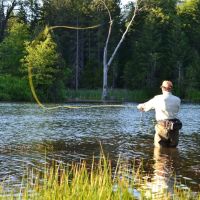 Hayes Springs Ranch images 2