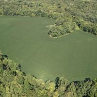 Stunning 53 Acre Property in Madison County IN with Tillable Ground Woods and River Frontage images 2