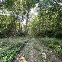 Stunning 53 Acre Property in Madison County IN with Tillable Ground Woods and River Frontage images 4