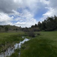 Little Beech Creek Ranch images 4