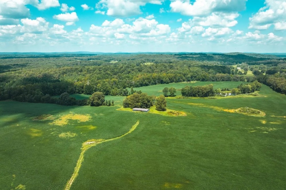 Hardin County Haven featured image