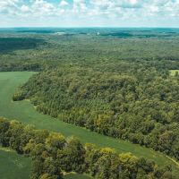 Hardin County Haven images 3