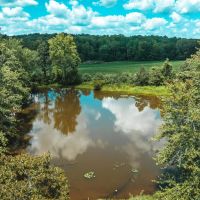 Hardin County Haven images 5