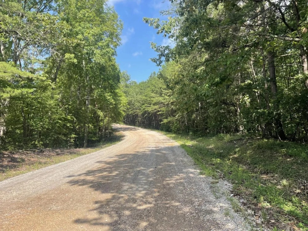 39 - Wooded acres In Winston County AL featured image