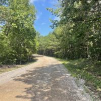 39 - Wooded acres In Winston County AL