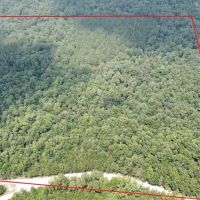 39 - Wooded acres In Winston County AL images 2