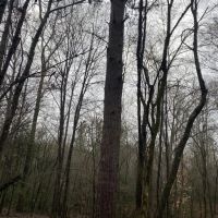2 CLAIBORNE PARISH 40 images 5