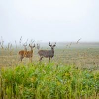 Ashby Creek Ranch images 4