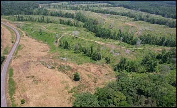 190.1 Acres in Holmes County in Lexington MS featured image