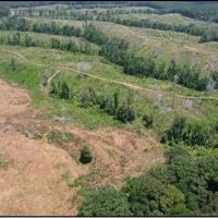 190.1 Acres in Holmes County in Lexington MS