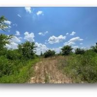 190.1 Acres in Holmes County in Lexington MS images 3